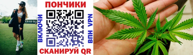 как найти   Сосновый Бор  Каннабис семена 